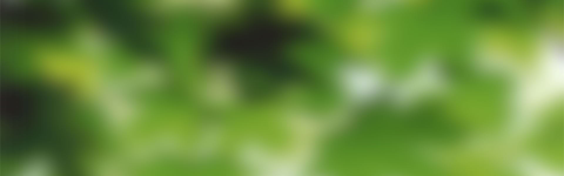 bg2